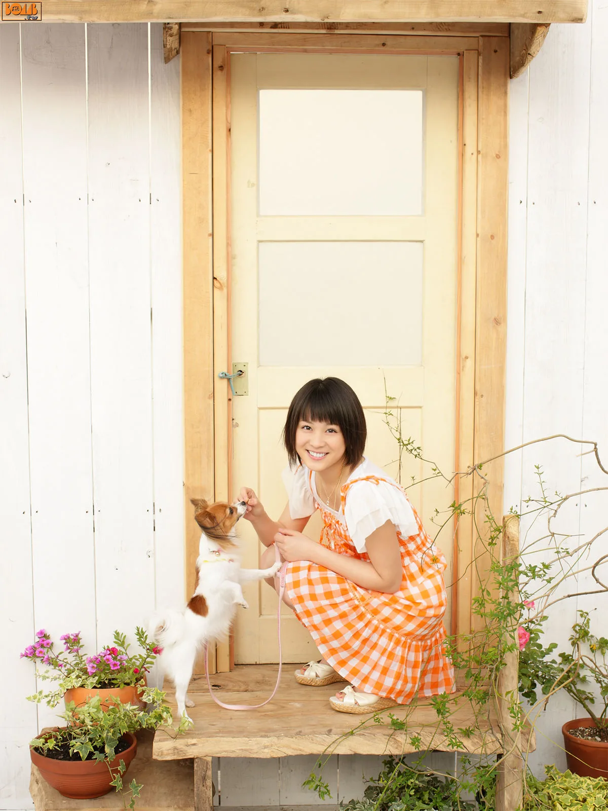 Bom.TVKie Kitano, 2008-11 - 5
